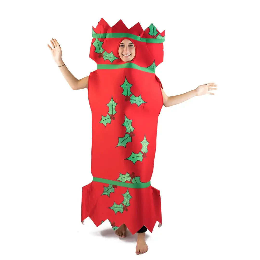Adults Christmas Cracker Costume - Image 4